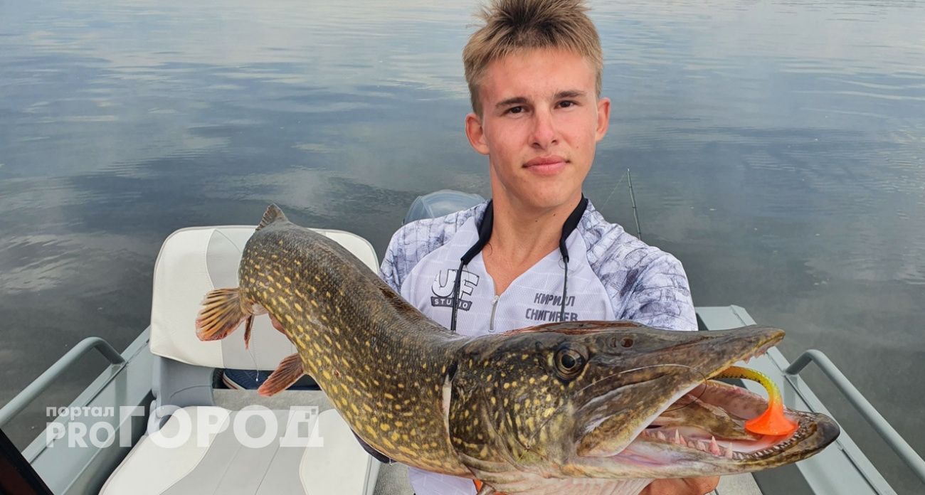 О язвах на теле рыбы рассказал рыбак из Ярославля