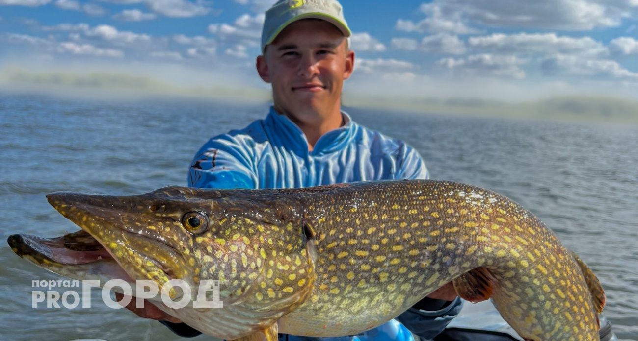 В какой траве нужно рыбачить для хорошего клева: отвечает рыбак из Ярославля