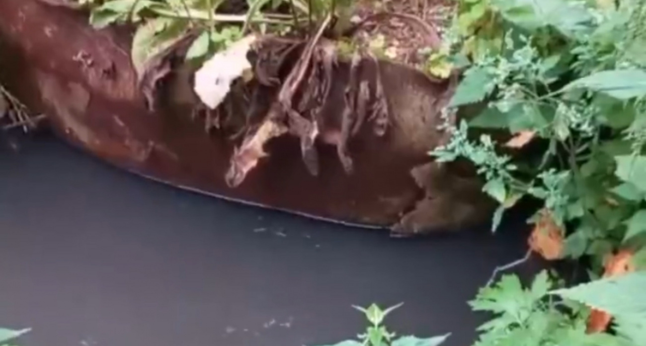 В районе Толги канализация потекла в Волгу