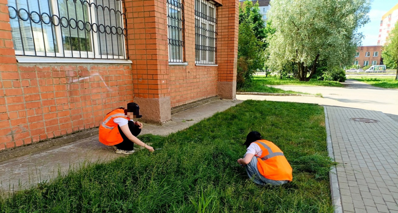 В Ярославской области школьников заставили стричь газон ножницами