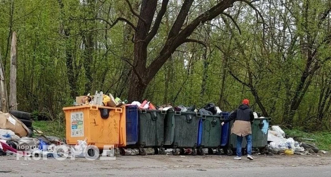 В Ярославле вместо закрытия реконструируют мусорный полигон за 45 миллионов