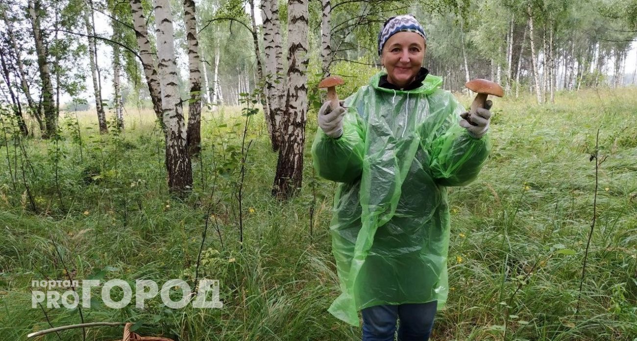 Какой вы гриб по знаку зодиака: гороскоп для лесников и любителей жарехи