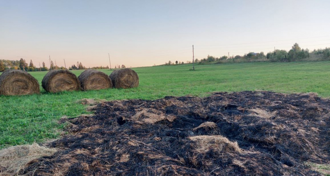 В Ярославле отец нашкодившего школьника заплатил за поджог сена