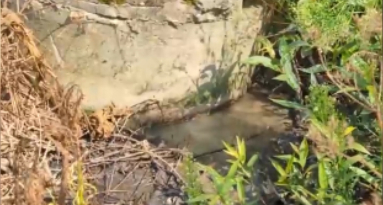 Назвали причину появления фекального ручья в поселке под Рыбинском