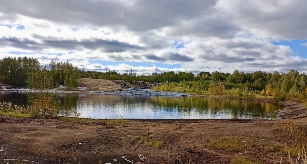 Ярославскую область избавят от вредных "зеленых масел"