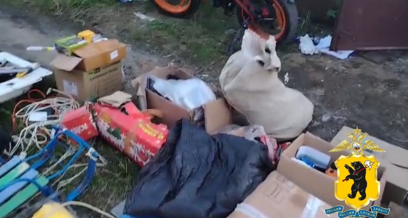 В Ярославле поймали серийных воров инструментов