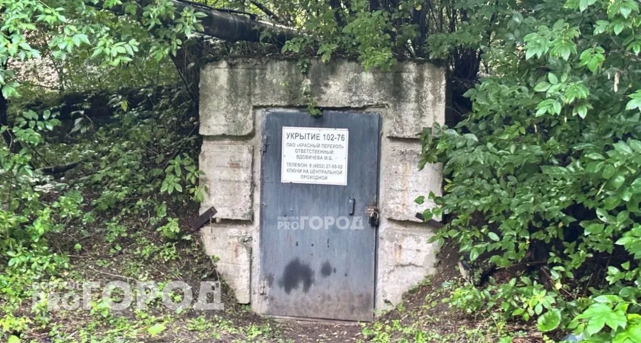 Ярославль: запрет на животных в бомбоубежищах и огромные очереди в зоопарк - главные новости за 16 августа