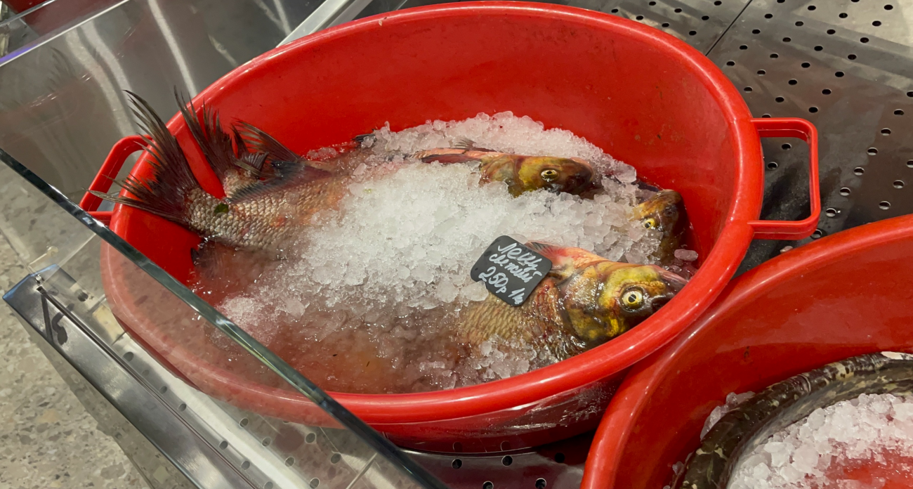 Эта рыба просто кишит паразитами: в ней нашли 10-метровых червей, а мы ее подаем на стол и даем детям