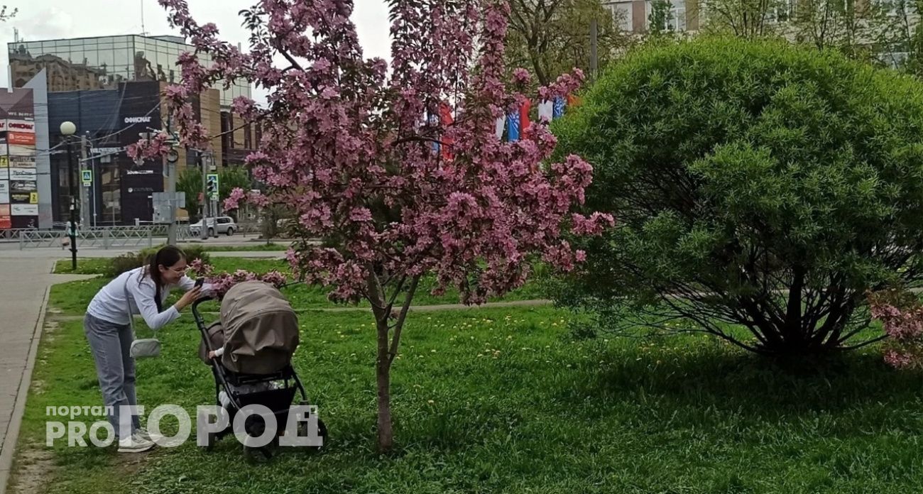 Студенткам в Ярославле будут платить за беременность прожиточным минимумом