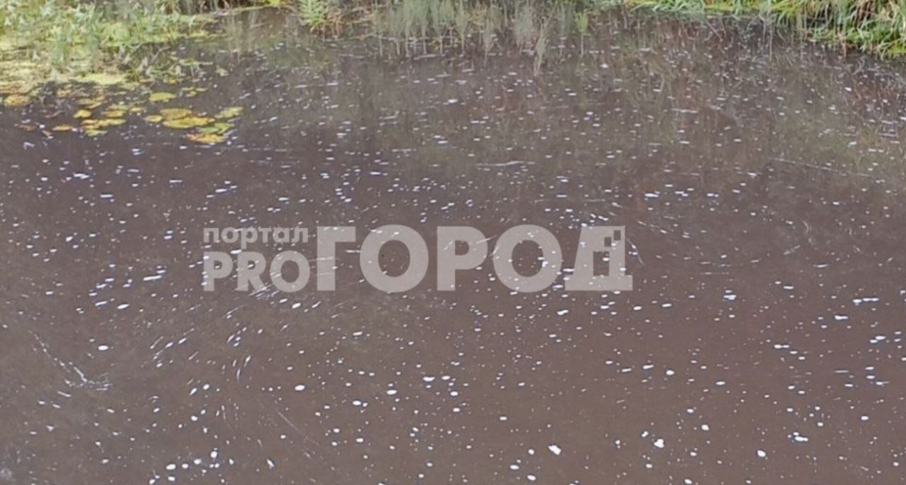 В Ярославской области жители рассказали о сливе навоза в реку