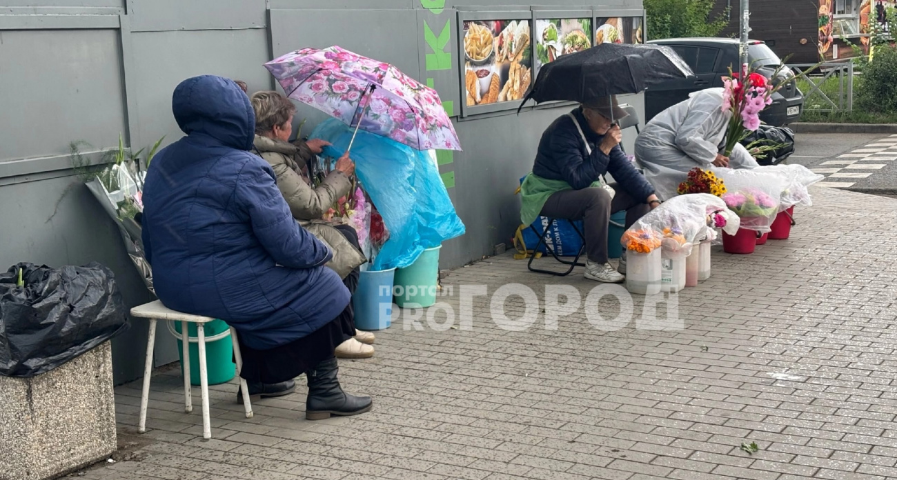   Жители Ярославля призвали власти не разгонять уличных продавцов 