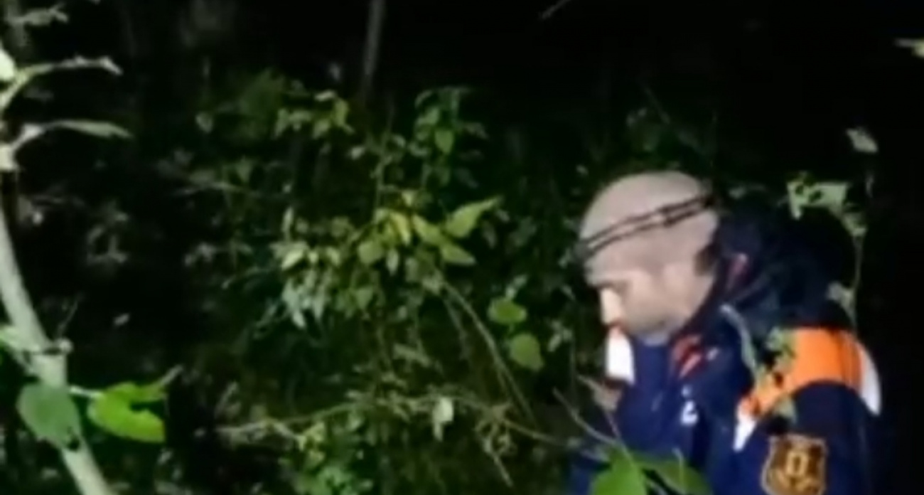 Потерявшуюся в Ярославском районе бабушку час несли на носилках