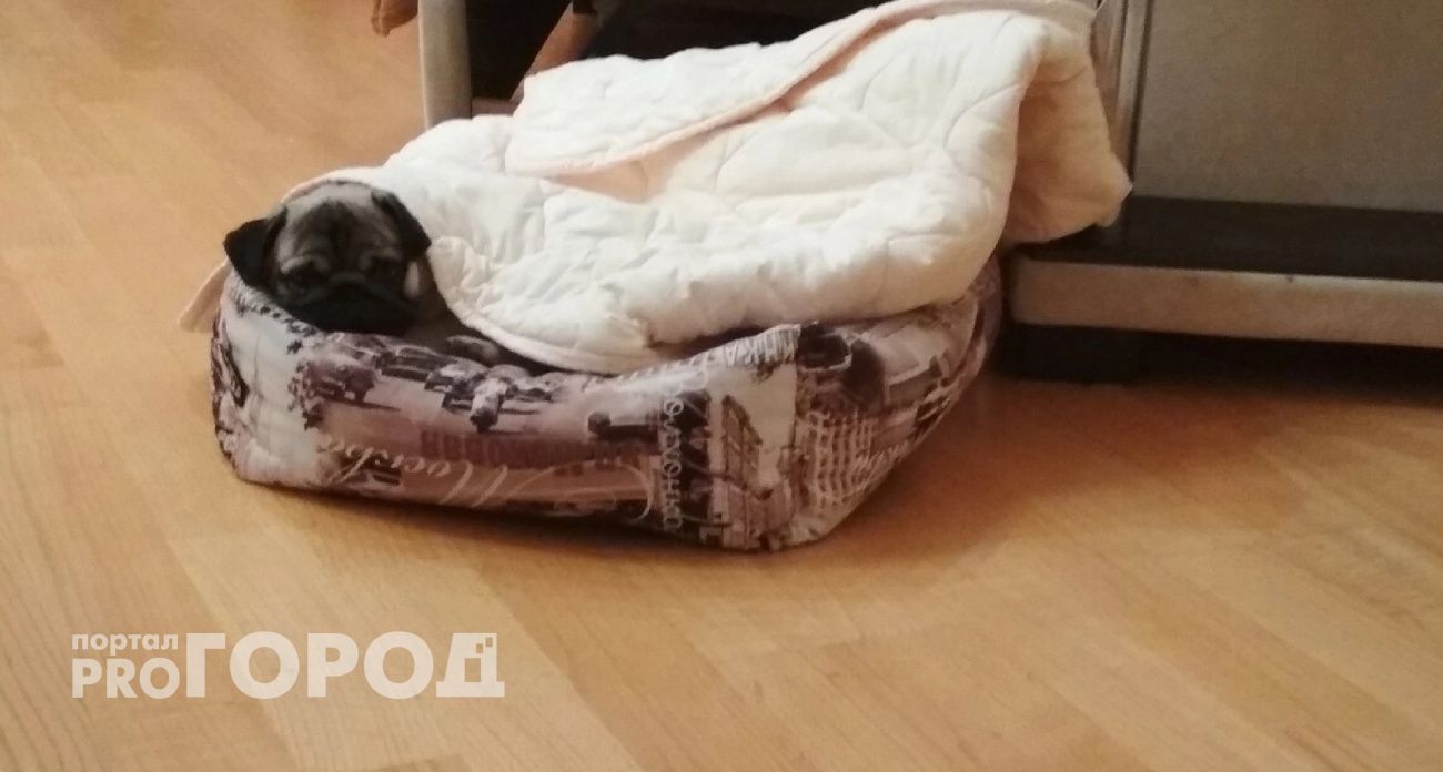  Температура резко упадет на 10 градусов: когда летняя жара уйдет из Ярославля