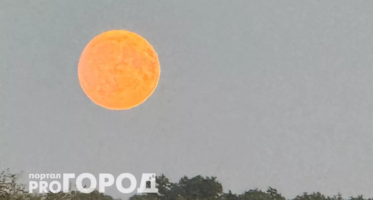 Коридор затмений открыт: кого ждут потери, а кому судьба дарует защиту до 21 сентября