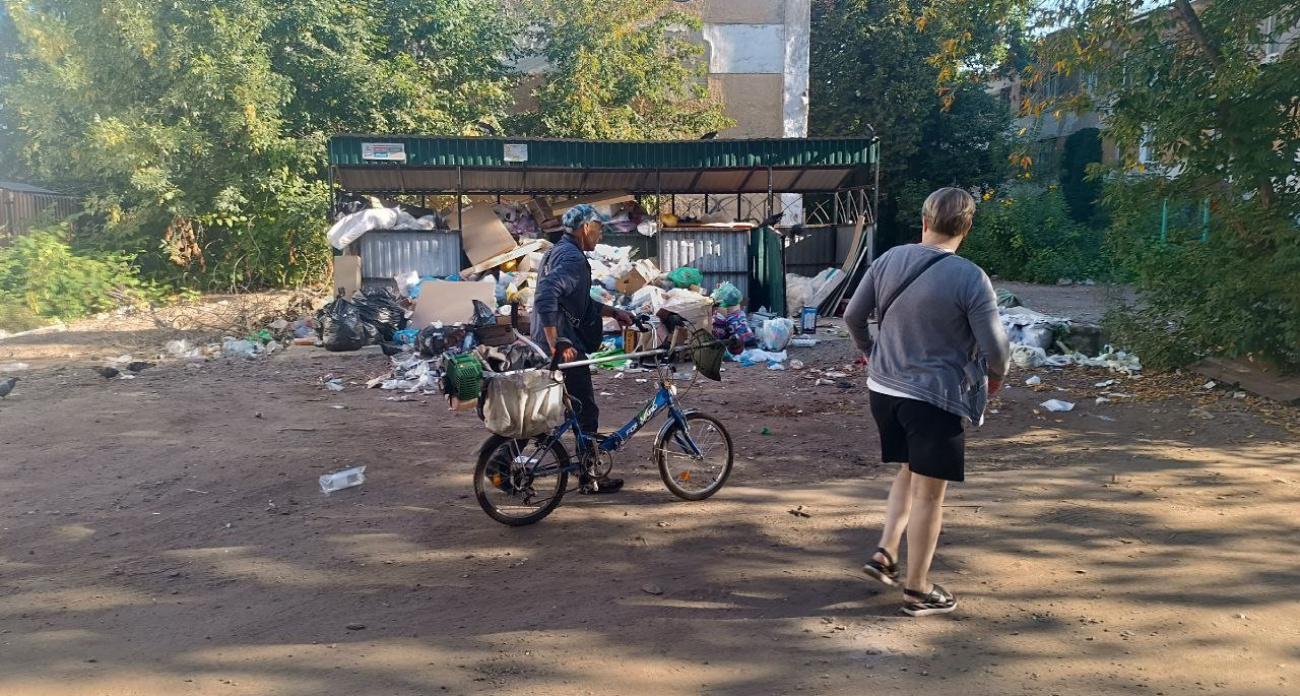 Жителей Ярославля будут штрафовать за выброс веток и листьев на помойку 