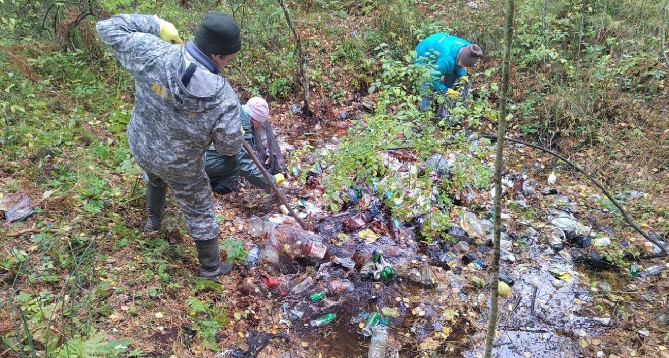 Ярославцев будут штрафовать за незаконные свалки