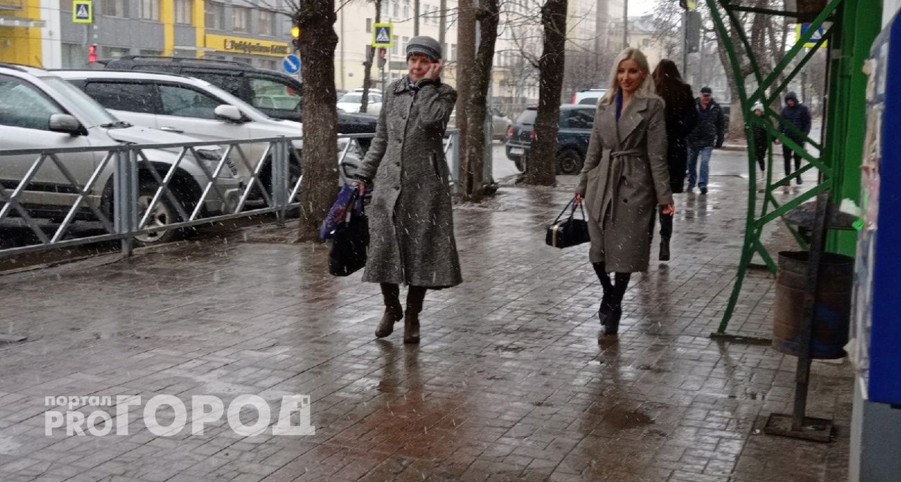  Заморозки и высокую пожароопасность спрогнозировали в Ярославской области в один день