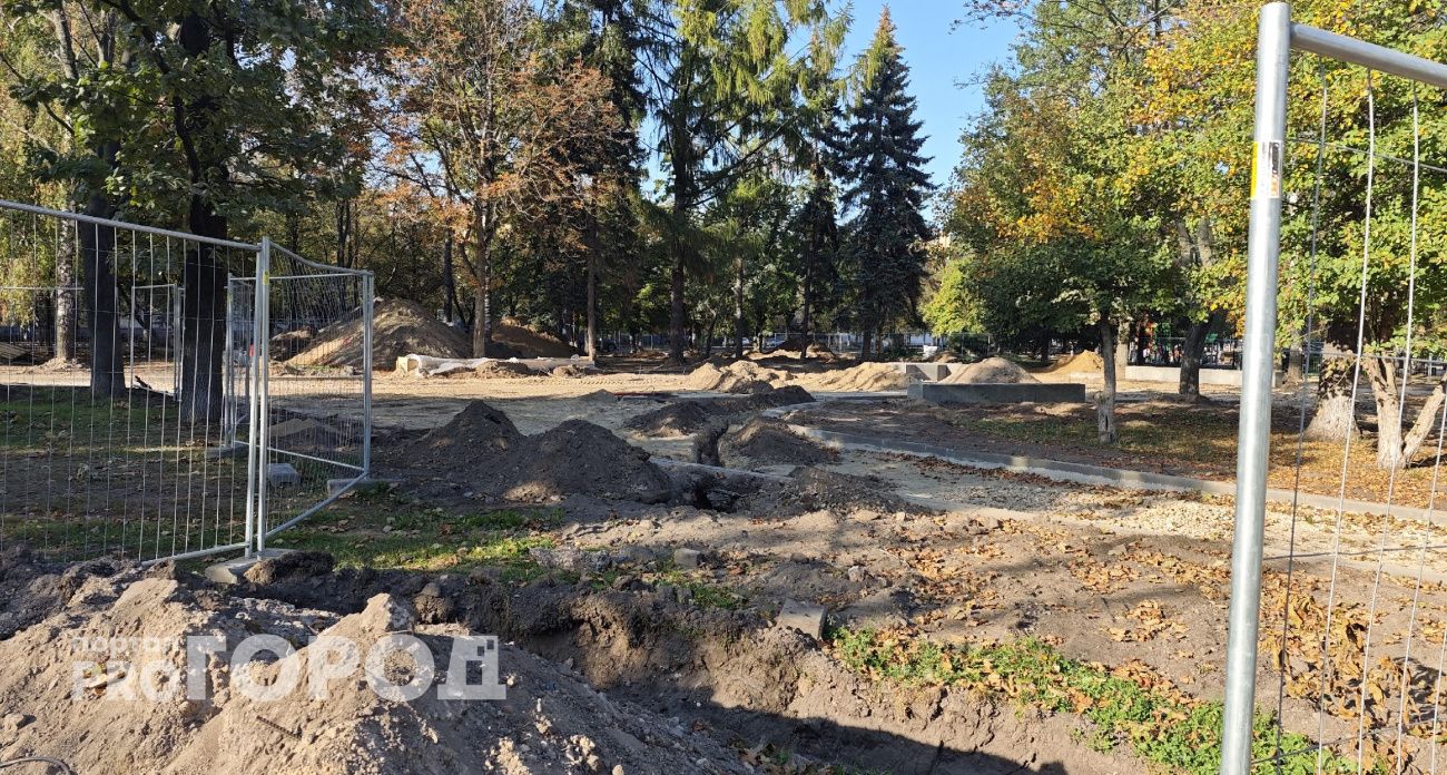 В Ярославле еще не решили, кому поставят Доску почета за 13 миллионов рублей в парке Мира