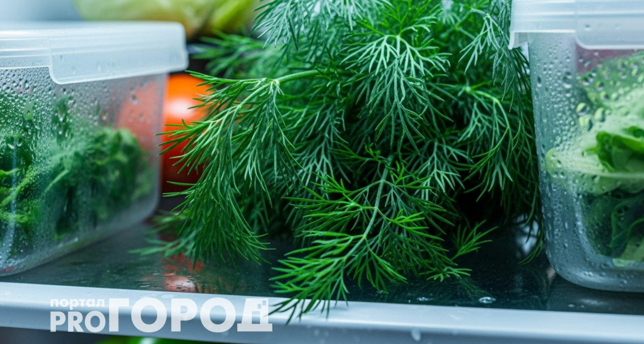 Зелень не завянет еще две недели: как правильно хранить укроп и петрушку в холодильнике 