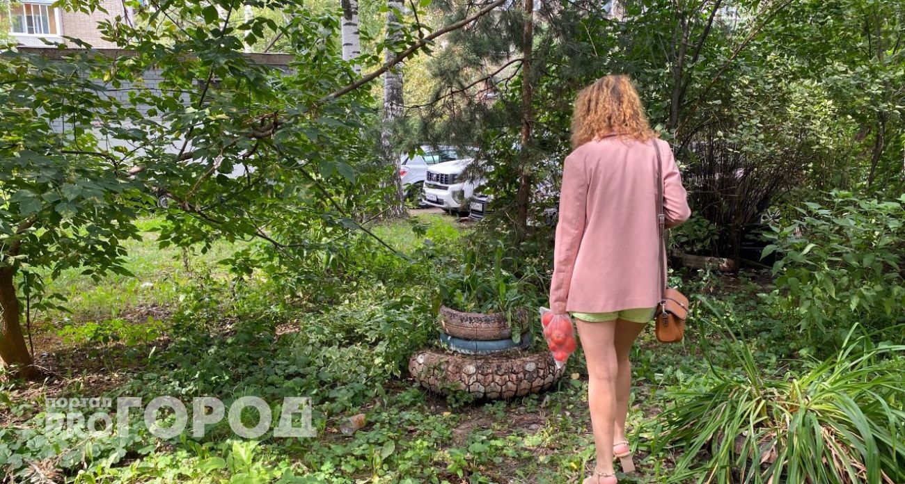 Штрафы за шины в Ярославле обросли фейками