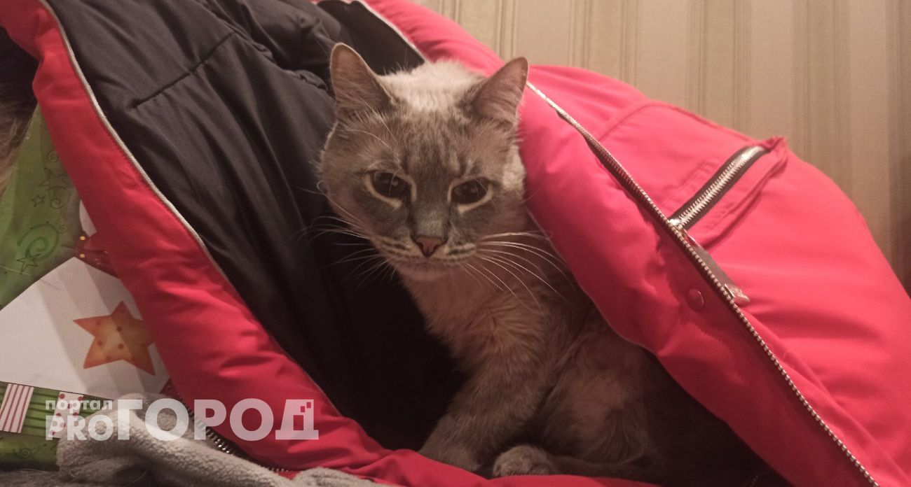 В Ярославле из-за проблем с пуском отопления в доме ввели режим ЧС