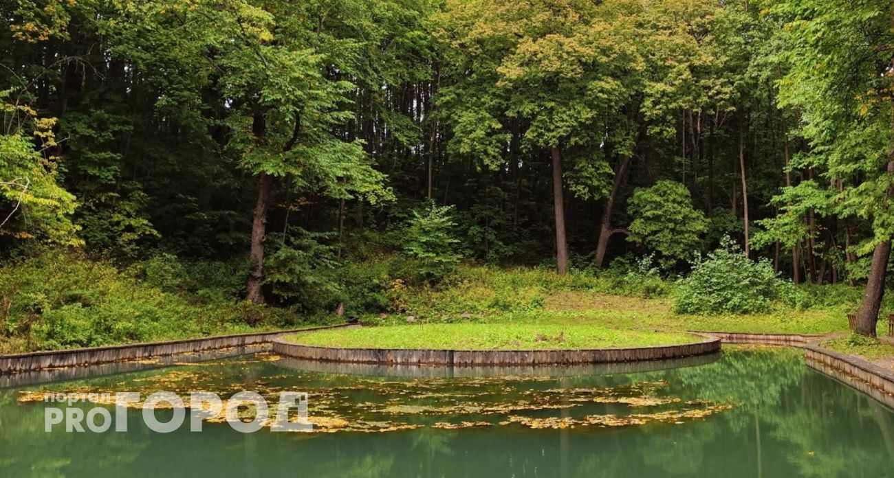 Назвали самые красивые места для осенней фотосессии в Ярославле