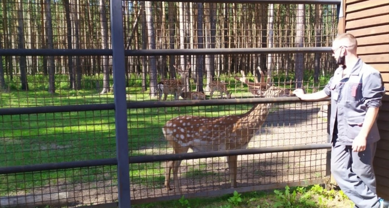 Кого из ярославцев пустят в зоопарк бесплатно