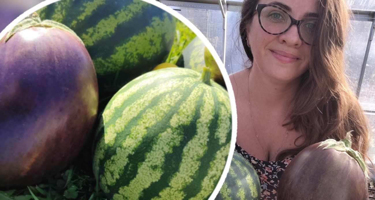 Огородница из Рыбинска вырастила баклажан-гигант весом почти в полтора килограмма