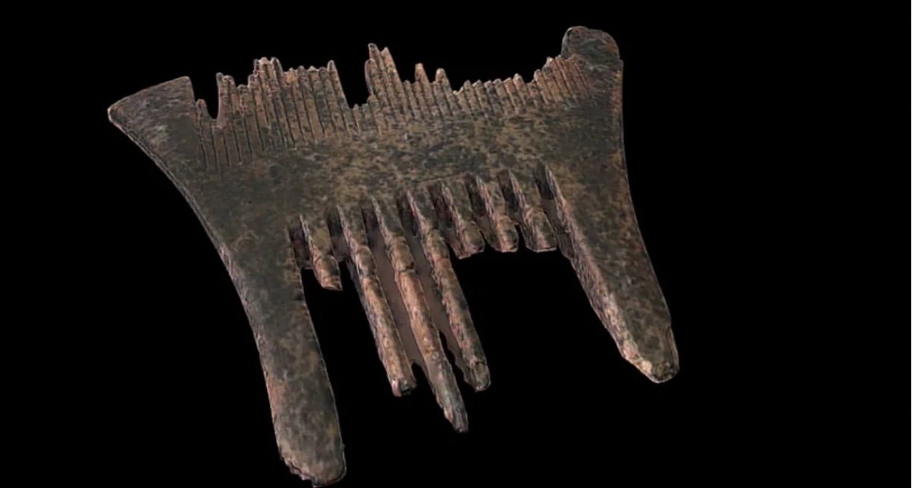 В Ярославле нашли гребень для волос  десятого века