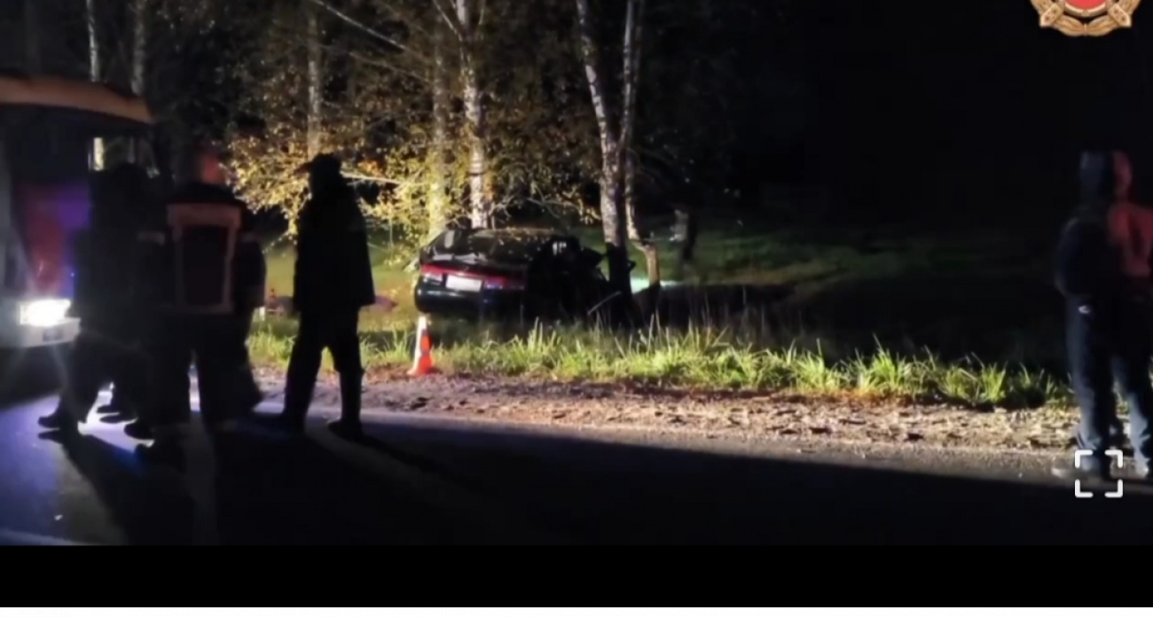  Под Рыбинском влетевший в дерево водитель погубил двух женщин