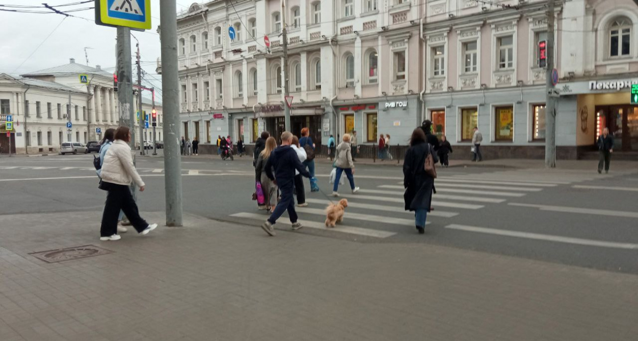 В Ленинском районе Ярославля появится гостиница
