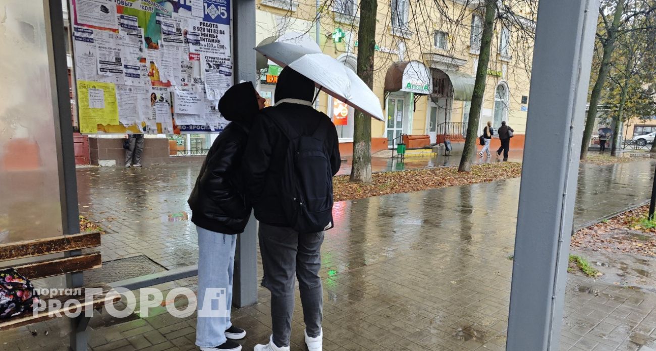 Треть месячной нормы осадков за два дня прольётся на Ярославль