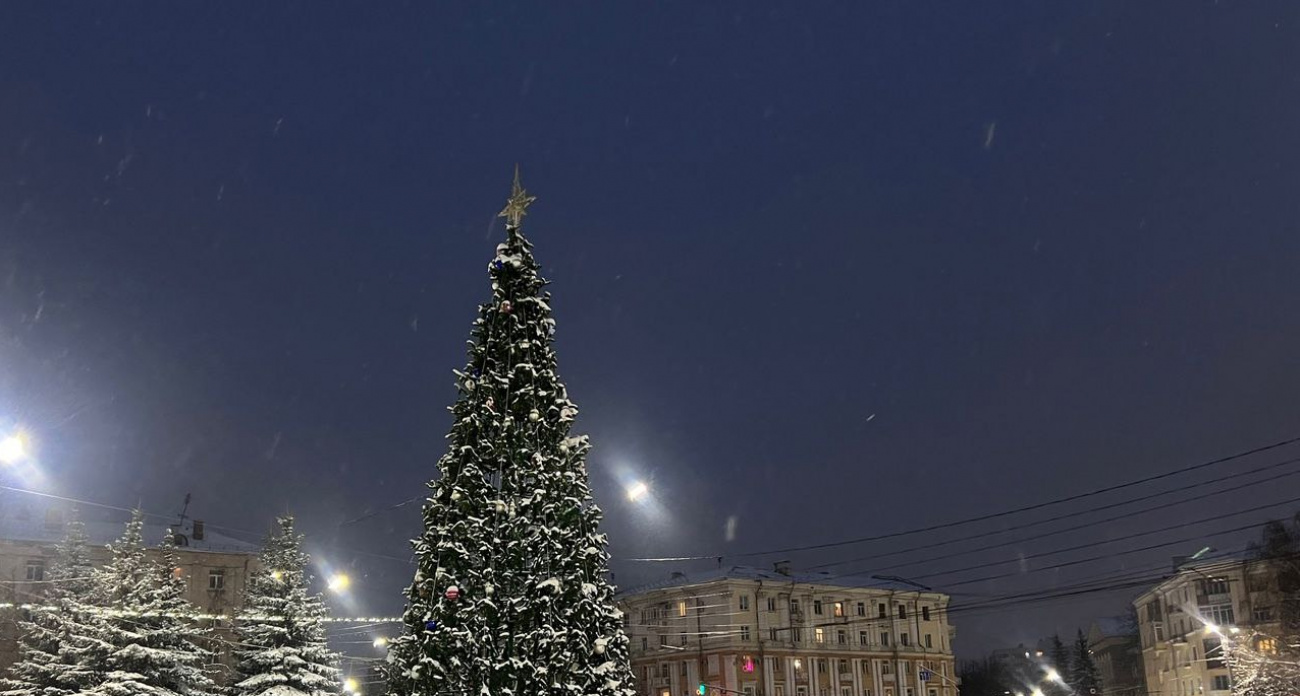 В Ярославле купят 12-метровую ель за 450 тысяч
