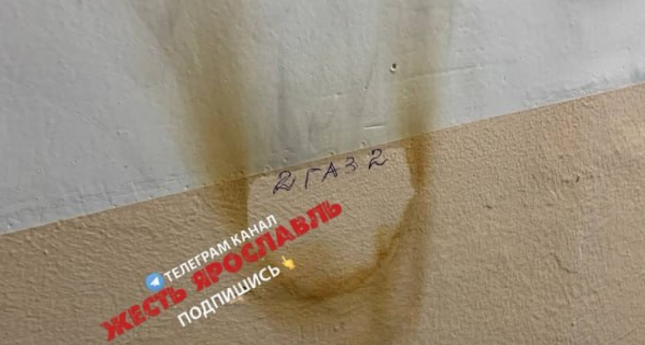 В Ярославле женщина пугает соседей: "Она склонна к поджогам"