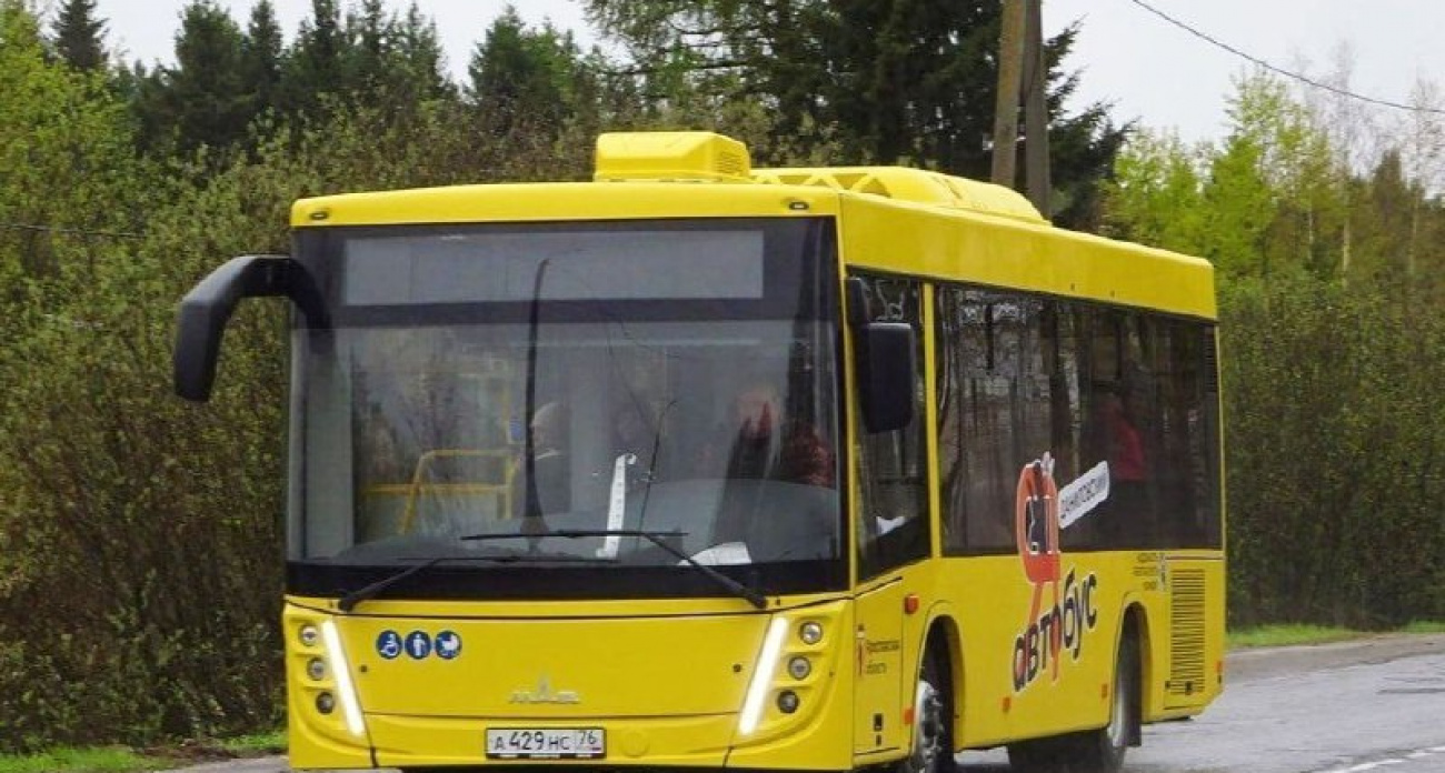 В Ярославле нашли поставщика для 202 автобусов