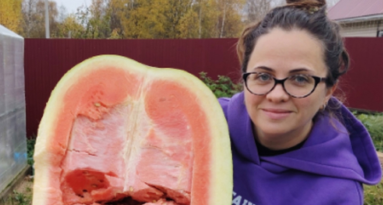 Садовод из Рыбинска развеяла миф о вкусе гигантских арбузов