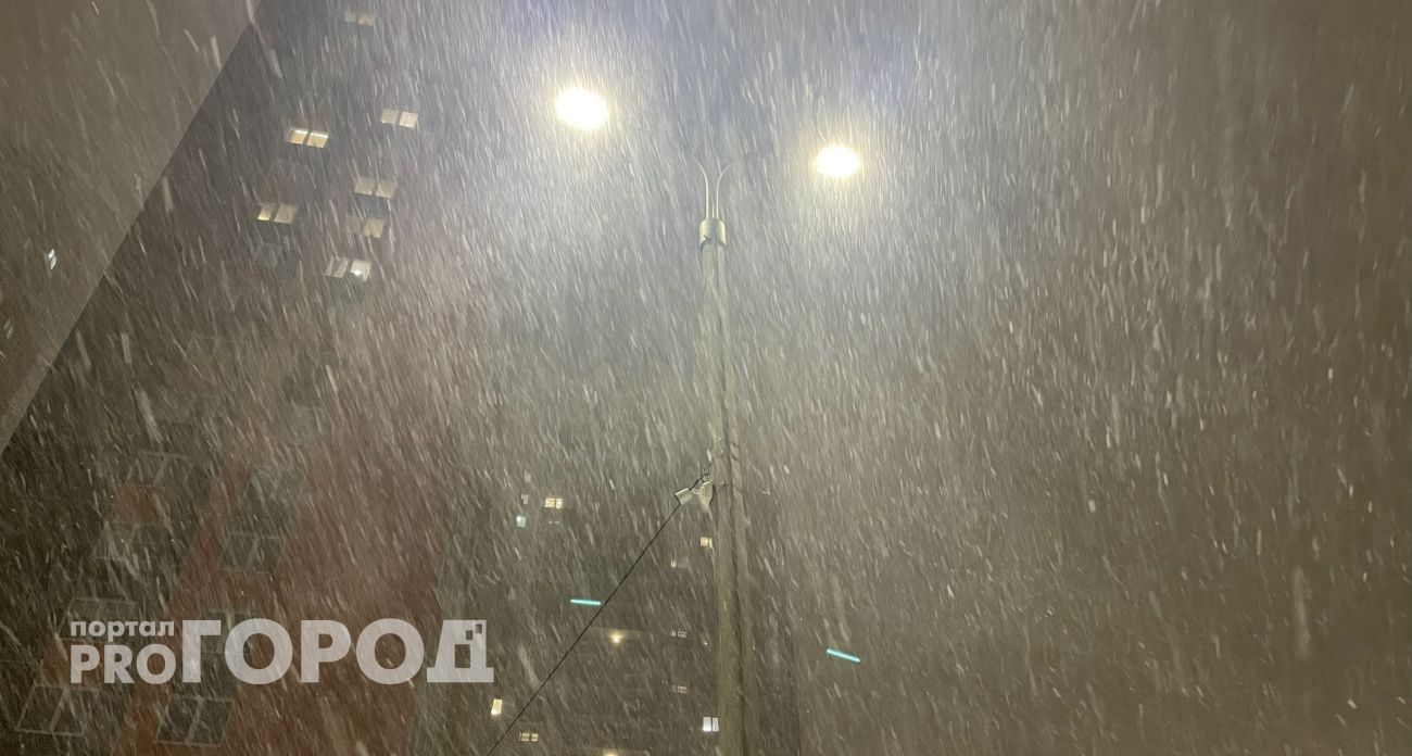 Температурные качели, мороз и снегопады - чего еще ожидать от этой зимы в Ярославле по прогнозам синоптиков