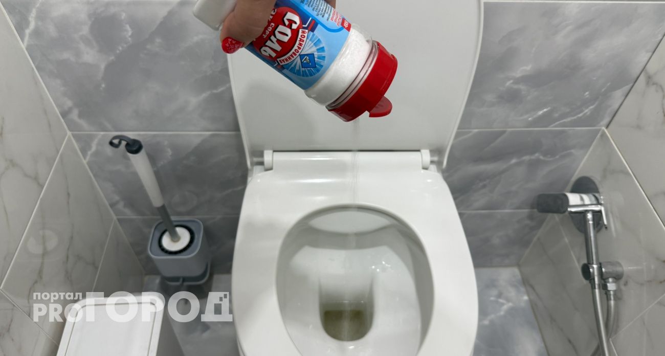 Почему нужно сыпать соль в унитаз - запомните раз и навсегда