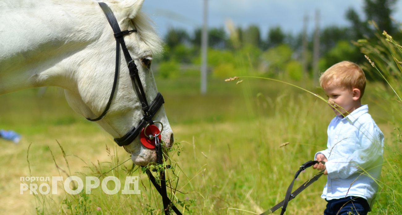 Назовите так своего сына. Мужские имена-обереги: 10 самых сильных имен для мальчиков