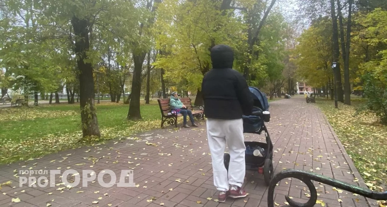 Ярославль: главные новости за 15 октября - названо редкое мужское имя, Бастрыкин проверит превышение полномочий