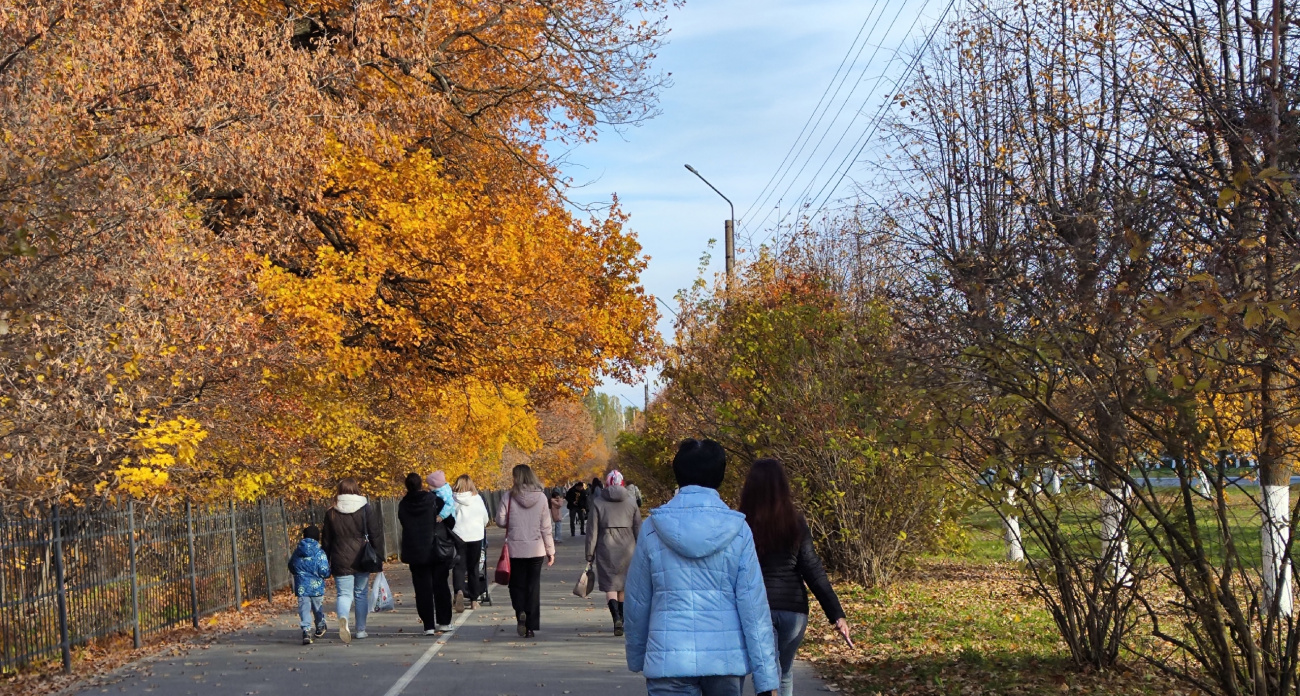 В Совете Федерации рассказали, как выйти на пенсию за два года до наступления пенсионного возраста
