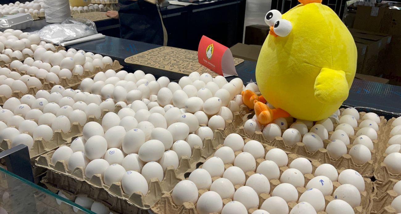 Умные покупатели выбирают яйца в магазине именно так: запомните два главных приема опытных хозяек