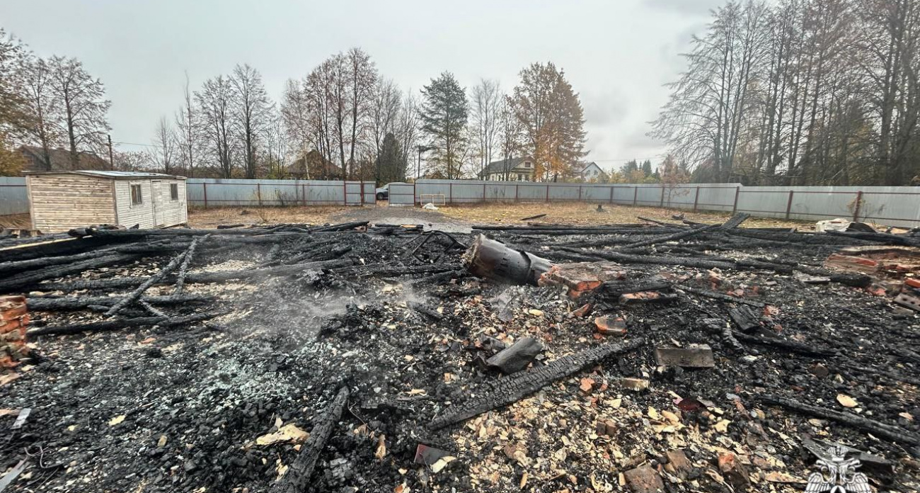 В пожаре под Ярославлем сгорели 150 индюшат