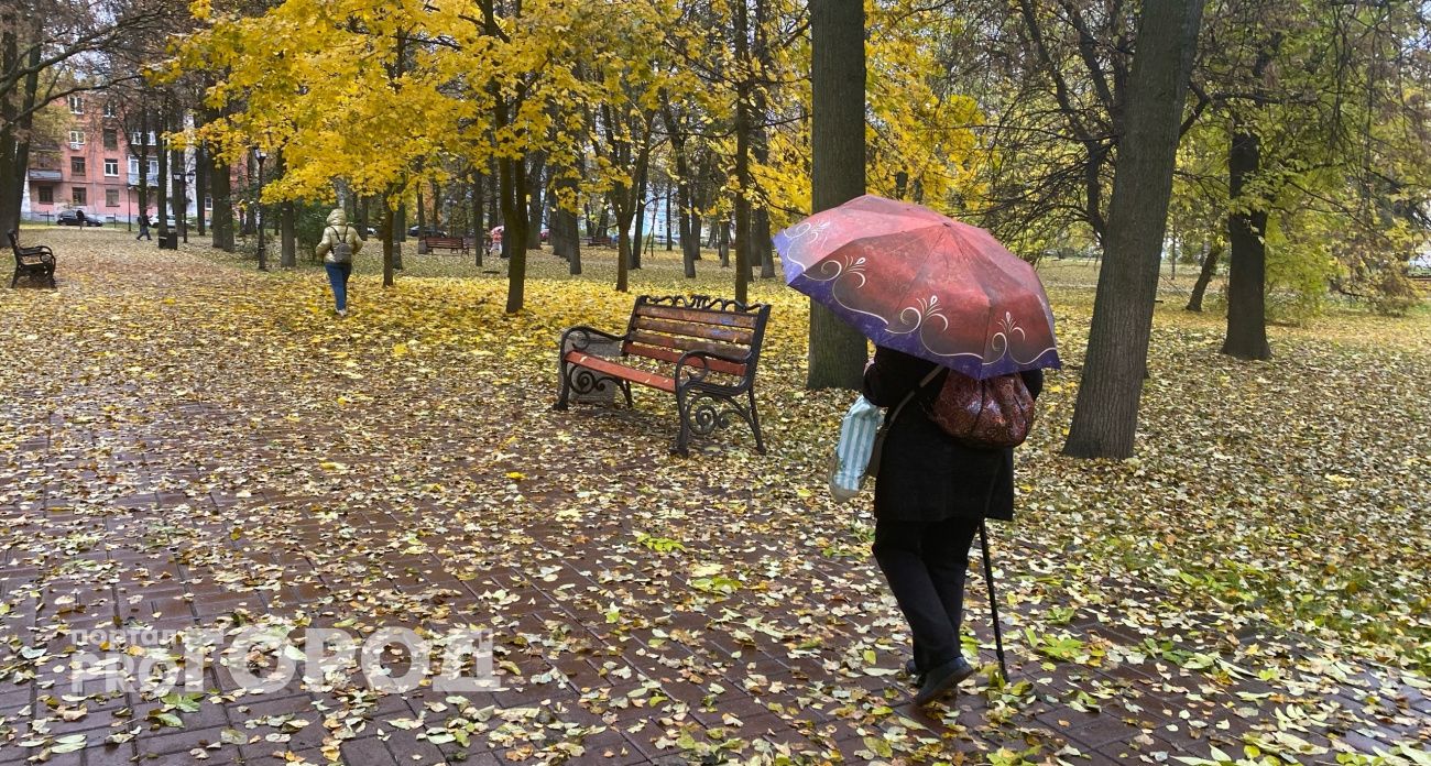 Двузначное тепло и экстремальное давление резко ворвутся в Ярославль: назвали точную дату