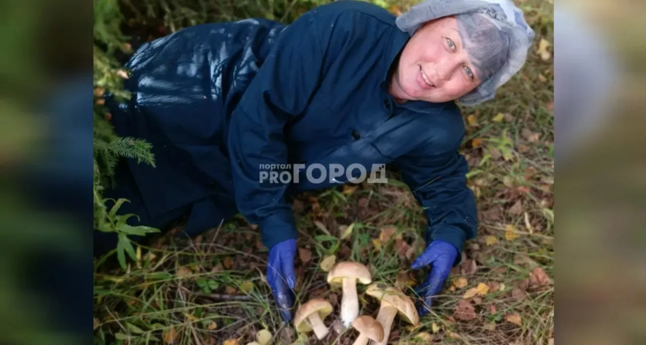 Фото к статье: Эти грибы собирают в октябре ведрами: наводки от дачницы из Ярославля