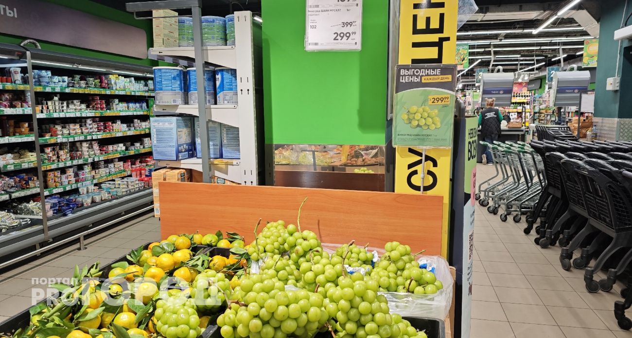 Можно ли есть гигантский китайский виноград: мнение бывалых огородников из Ярославля