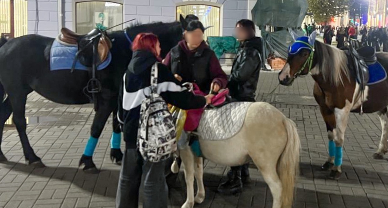 Лошади в центре Ярославля возмутили местных жителей
