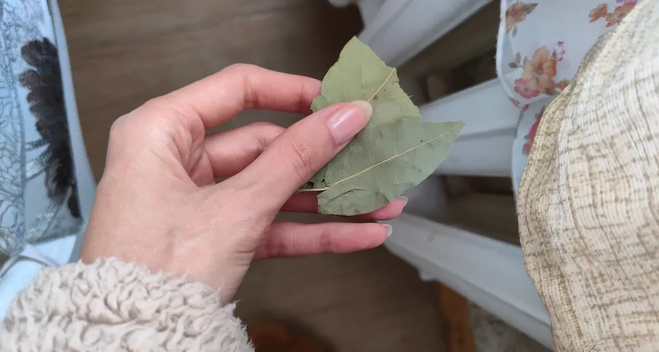 Полезные советы за неделю: как пережить холода и сэкономить