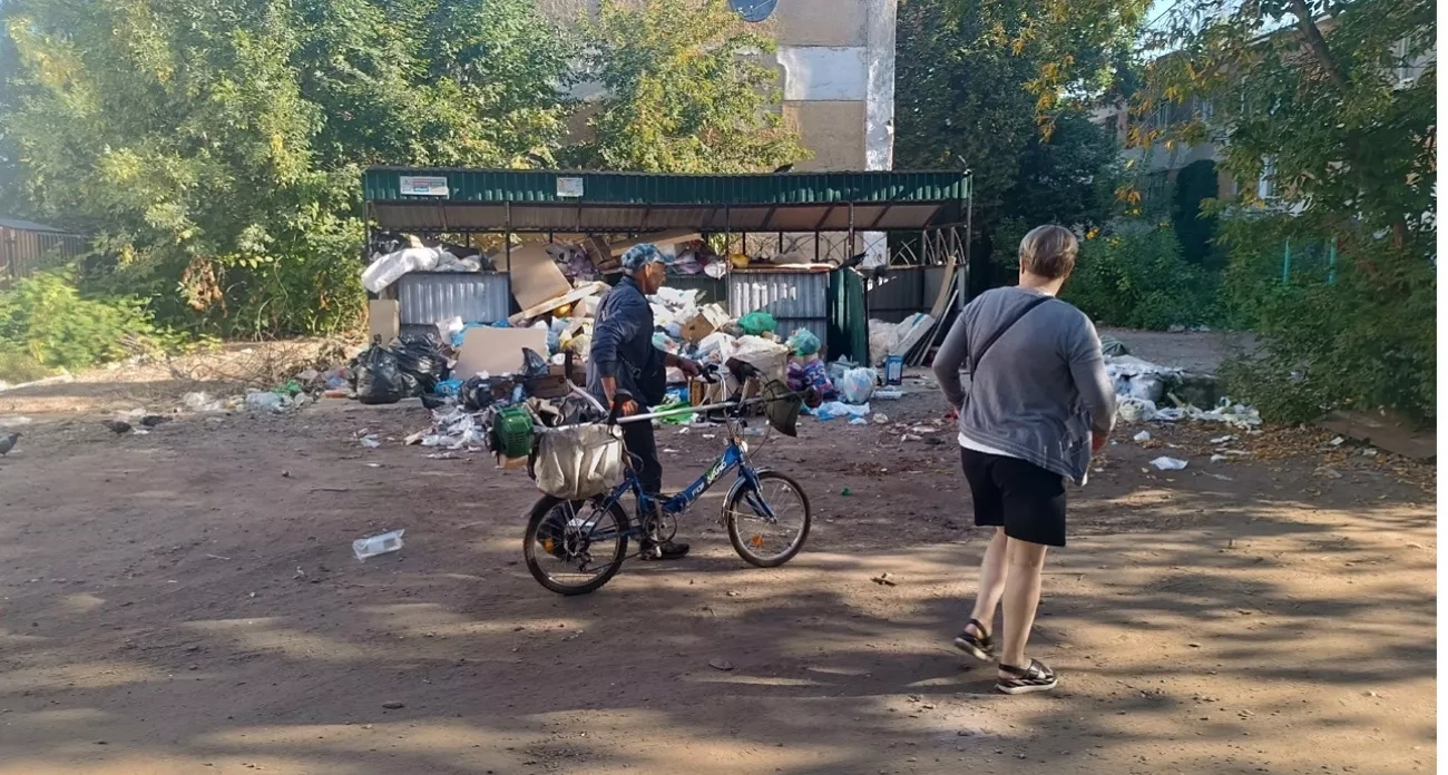 Ярославль: главные новости за 26 октября - правила вывоза мусора и зимние имена для детей