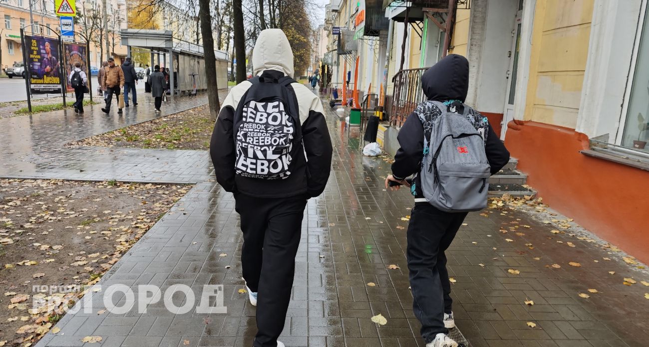 Депутаты в Ярославле не нашли в бюджете денег на форму школьникам из многодетных семей